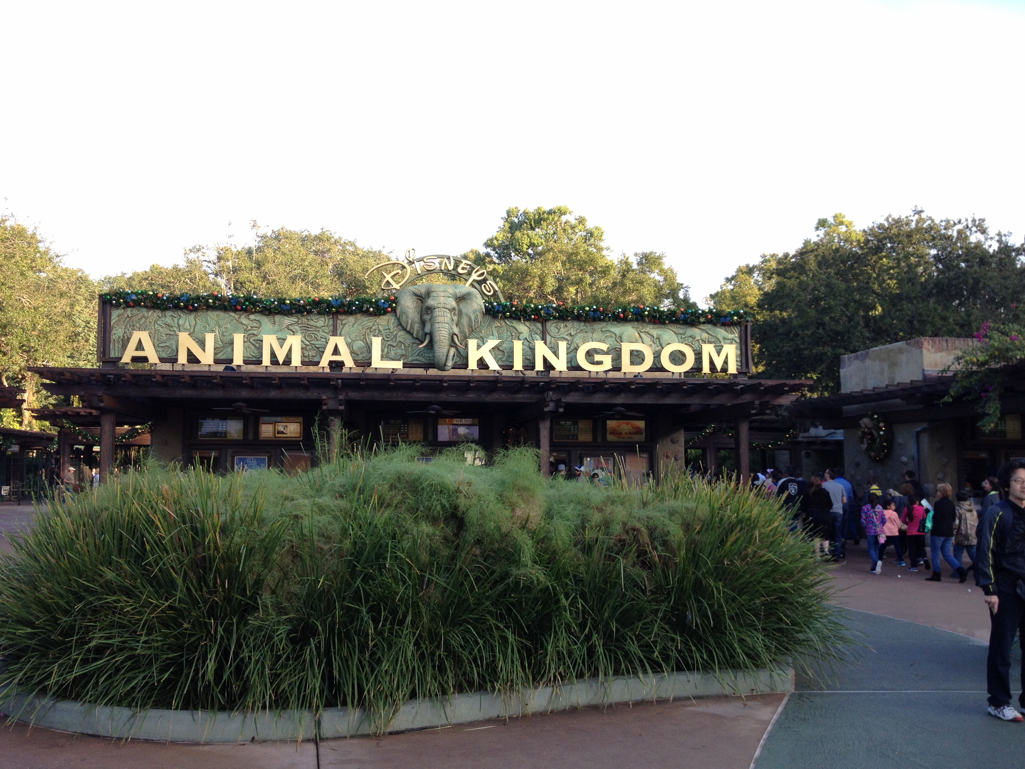 Jul i Disney's Animal Kingdom